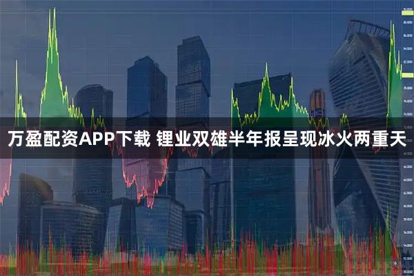 万盈配资APP下载 锂业双雄半年报呈现冰火两重天